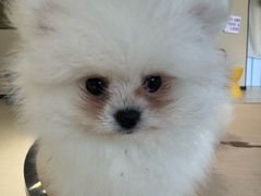 -1点点(理想银泰店)