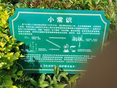 -成飞公园