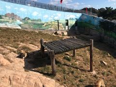 -西霞口神雕山野生动物世界