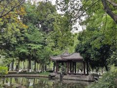 -温江公园