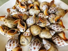 -三亚火车头万人海鲜广场