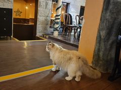 -猫岛主趣味餐厅(鼓浪屿店)