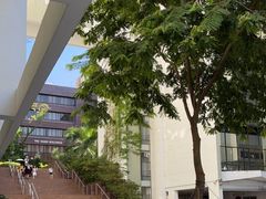 -香港大学