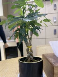 -归位瑜伽＆普拉提馆