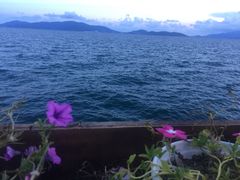 -越海渔村