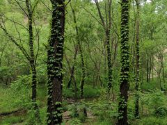-碓臼峪自然风景区