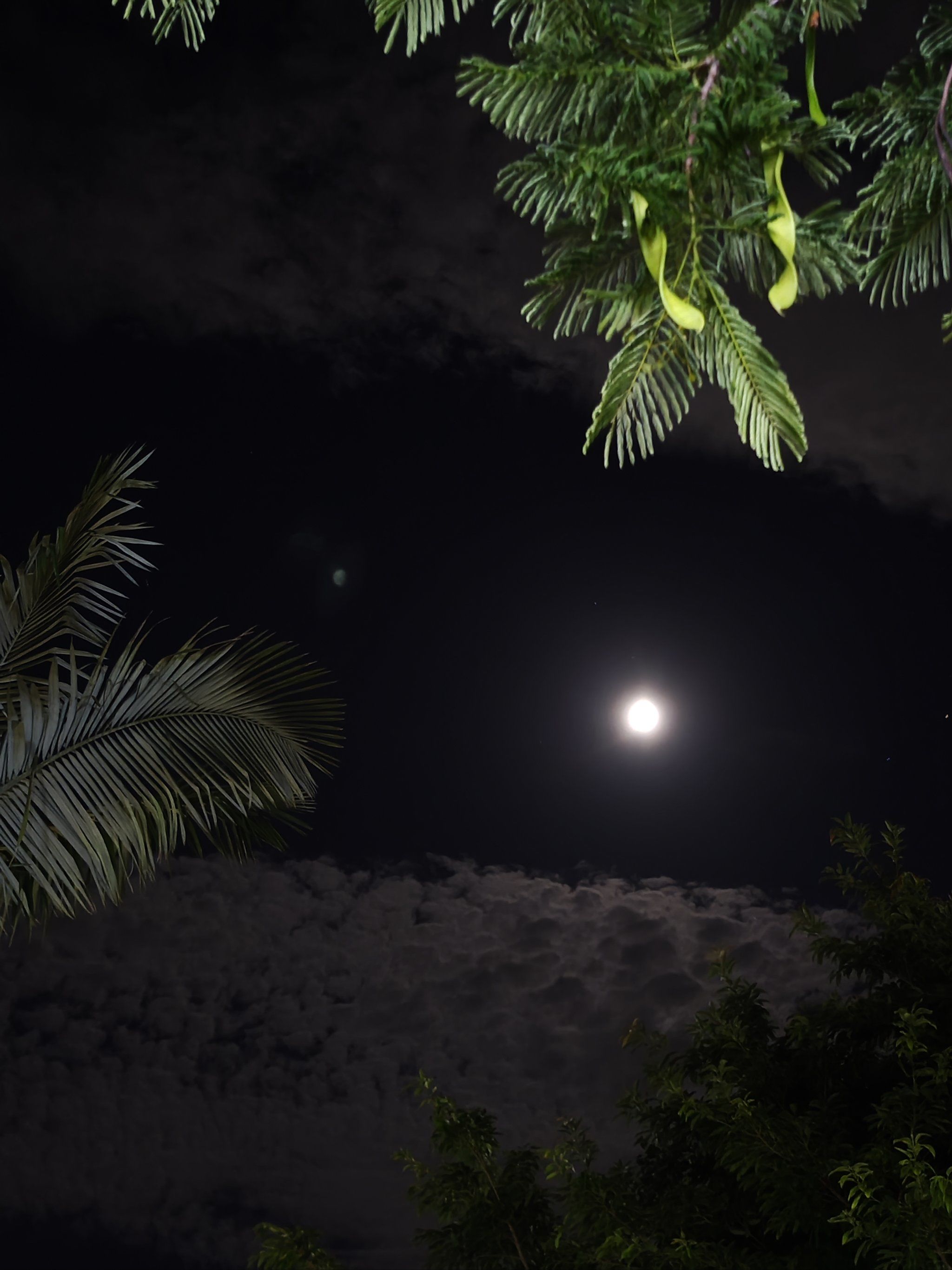 夜空下的月亮话