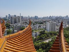 -黄鹤楼公园(黄鹤楼)