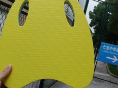 -七宝中学游泳馆