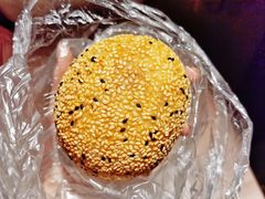 麻球-白玉兰食品(中山公园龙之梦店)