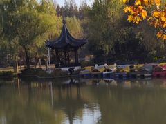 -泰州凤城河风景区-泰山公园