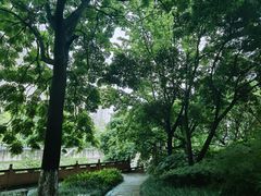 -成都市活水公园