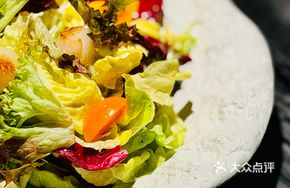 Grilled Scallop Salad