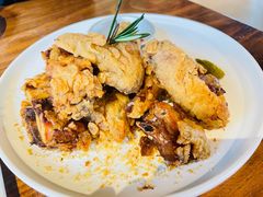 -百好乐宠物友好餐厅(朝外大街店)