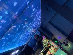 -杭州海底世界