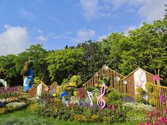 -上海共青森林公园