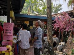 -园林美食城·本土农家菜(杨和镇店)