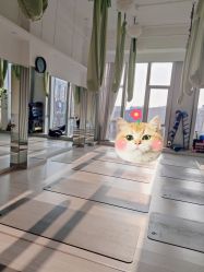 -小黑裙瑜伽·普拉提