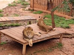 -昆明动物园