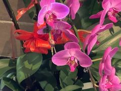 -荷风细雨·中国茶宴(碧云店)