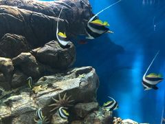 -福州罗源湾海洋世界旅游区