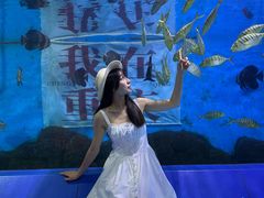 -重庆欢乐海底世界