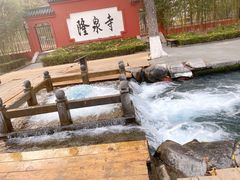 -百脉泉景区
