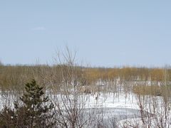 -东郊湿地公园