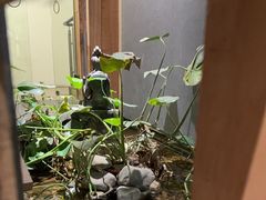 -邈墨茶馆(凤起路店)