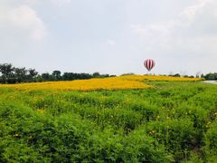 -歌斐颂巧克力小镇