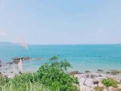 -杨梅坑