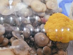 -野菌王•养生汤锅•野生菌火锅(大理漾濞路店)