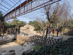 -上海野生动物园