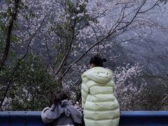 -宁波五龙潭景区