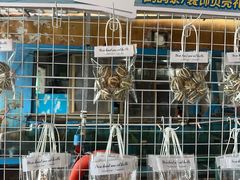 -蓝湾碧波·老字号·疍家非遗海上餐厅
