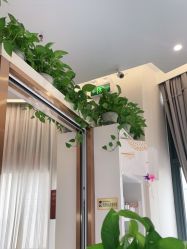 -尚艺造型.剪烫染.接发