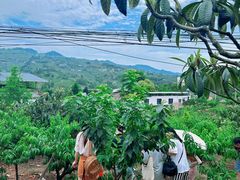 -桃源山庄·水蜜桃采摘·柴火鸡·烧烤团建(龙泉山店)