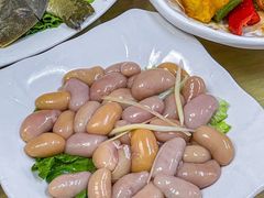 -冯姐生蚝(长隆横琴店)