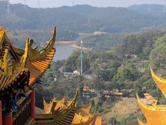 -东莞市大岭山森林公园