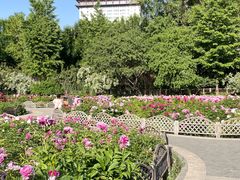 -迎泽公园