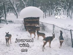 -大秃顶子山