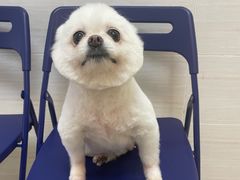 -芭比堂动物医院广州顽皮分院