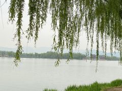 -颐和园