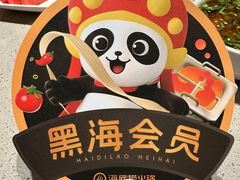 -海底捞火锅(铂澜大象城店)