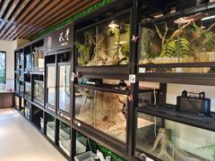 -朵云书院(滴水湖店)