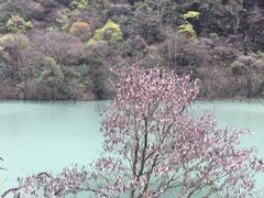 -硗碛藏寨·神木垒景区