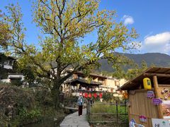 -塔川景区