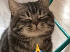 -九田家黑牛烤肉料理(衡百国际店)