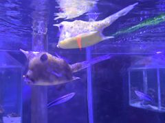 -太平洋海底世界