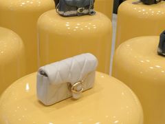 -COACH蔻驰(星光68广场店)